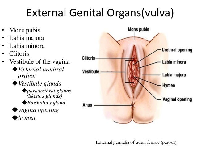 Abstinence before sperm aspiration procedure Sex stories about glory holes